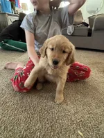 processed/13d7d082-30b5-4e12-ad43-f167aa2b4e50/listing/04c11fe2-9021-4380-abd9-1337ff849d42/e3f508de-3df0-4dd9-96a2-be5815393c71