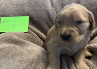 processed/13d7d082-30b5-4e12-ad43-f167aa2b4e50/listing/04c11fe2-9021-4380-abd9-1337ff849d42/efaefced-ac1f-42b9-b9ef-001488faa397