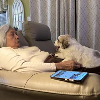 Dracula (Nickname Dracu), a male Great Pyrenees for sale in Richmond, VA – Photo 5 of 9