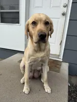 processed/13e152a6-5f20-4b21-9e76-7c4298d54864/facility/0cece7e6-b262-41d0-8d6f-05e0e8be828f