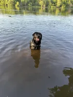 processed/13e152a6-5f20-4b21-9e76-7c4298d54864/facility/5fa0a037-cfc7-4be1-a96d-e969296327c7