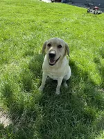 processed/13e152a6-5f20-4b21-9e76-7c4298d54864/facility/61a44f7c-a602-4f05-91b0-3d71e4418ff0