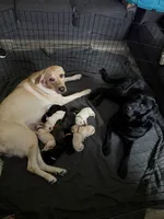 processed/13e152a6-5f20-4b21-9e76-7c4298d54864/facility/b227052d-7fe5-459d-919c-2749d7ed6d3b