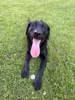 processed/13e152a6-5f20-4b21-9e76-7c4298d54864/facility/c0ca3720-2c66-435d-9e77-4ad03ade9e2d