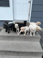 processed/13e152a6-5f20-4b21-9e76-7c4298d54864/facility/f8500c6e-da77-4163-9f08-c82b5d68f737