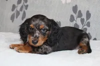 processed/13e48433-6d3f-442a-ba60-323926224a02/listing/048eb2dd-3875-4e91-8014-516d95f23903/4917b341-acc6-40af-a8e0-969c1e43628e