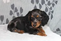 processed/13e48433-6d3f-442a-ba60-323926224a02/listing/048eb2dd-3875-4e91-8014-516d95f23903/82ceb59e-49ce-404f-9ec6-6d3b33d7a552