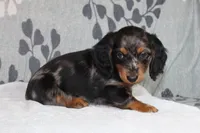 processed/13e48433-6d3f-442a-ba60-323926224a02/listing/048eb2dd-3875-4e91-8014-516d95f23903/87e3a281-e23e-4099-9f5b-ecd45b453f26