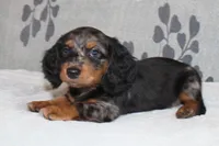 processed/13e48433-6d3f-442a-ba60-323926224a02/listing/048eb2dd-3875-4e91-8014-516d95f23903/917f7af7-fe9c-4956-8f3e-65bf0c1e19ef