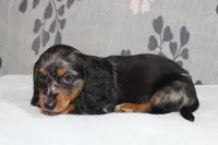 processed/13e48433-6d3f-442a-ba60-323926224a02/listing/048eb2dd-3875-4e91-8014-516d95f23903/aa4a92b4-33fb-4e2b-ad0e-710898a37e43