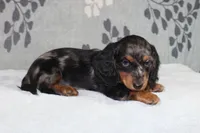 processed/13e48433-6d3f-442a-ba60-323926224a02/listing/048eb2dd-3875-4e91-8014-516d95f23903/da10b3b7-5ff7-4587-bc75-17f2ca3b67c2