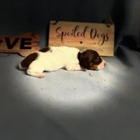 processed/13e55e8a-18f2-45a5-94d3-5d2c6606a077/facility/39a8c650-c6f6-47f0-bd0e-2c963452254a