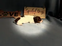 processed/13e55e8a-18f2-45a5-94d3-5d2c6606a077/facility/39a8c650-c6f6-47f0-bd0e-2c963452254a