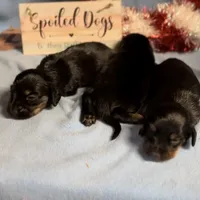 processed/13e55e8a-18f2-45a5-94d3-5d2c6606a077/facility/61e26d23-afdc-4a2a-8c5a-266f6a9fe0bf