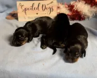 processed/13e55e8a-18f2-45a5-94d3-5d2c6606a077/facility/61e26d23-afdc-4a2a-8c5a-266f6a9fe0bf