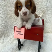 processed/13e55e8a-18f2-45a5-94d3-5d2c6606a077/facility/d812daa4-365a-40af-8f8b-c8254cf805f8