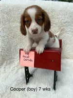 processed/13e55e8a-18f2-45a5-94d3-5d2c6606a077/facility/d812daa4-365a-40af-8f8b-c8254cf805f8