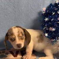 processed/13e55e8a-18f2-45a5-94d3-5d2c6606a077/facility/f6a9cf1c-9f58-42f0-85eb-86d98bf7a037