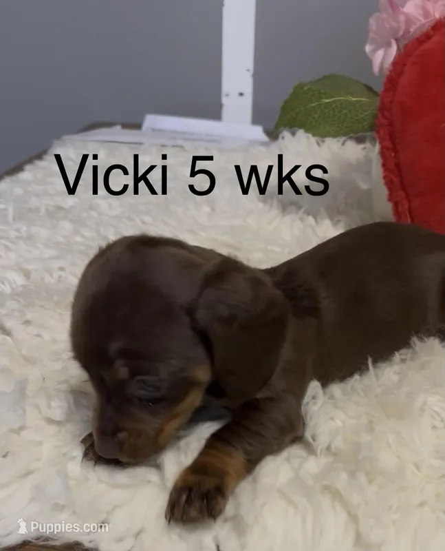 Vicki