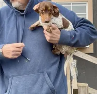 processed/13e55e8a-18f2-45a5-94d3-5d2c6606a077/listing/851880f7-c678-4395-801d-130ce7c303ed/0dd95e2b-322e-46ae-a42a-4d5b7dc4afb2