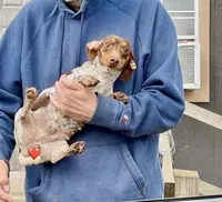 processed/13e55e8a-18f2-45a5-94d3-5d2c6606a077/listing/851880f7-c678-4395-801d-130ce7c303ed/de18e304-a4b8-40bc-ae83-56ceb29b1e53