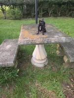 Shadow , a male Chihuahua for sale in Mobile, AL – 1 of 1