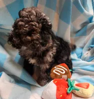 processed/13fccc7d-ad3c-4dc4-968a-e864955dff1b/listing/45663366-72a1-4447-828e-7d15008a5c71/2f625be4-471e-40a7-8986-fecf441ea836