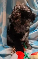 processed/13fccc7d-ad3c-4dc4-968a-e864955dff1b/listing/45663366-72a1-4447-828e-7d15008a5c71/3826accd-2e85-4646-8907-d34431704d3c