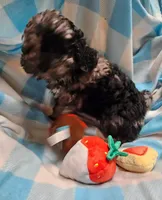 processed/13fccc7d-ad3c-4dc4-968a-e864955dff1b/listing/45663366-72a1-4447-828e-7d15008a5c71/cf3a3b43-ce56-486b-9311-e6d563fc6471