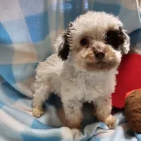 processed/13fccc7d-ad3c-4dc4-968a-e864955dff1b/listing/a4b28178-e974-4665-a46d-387424c837ee/0e800587-25fd-4927-885c-2c6d89804927