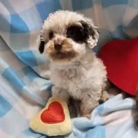 processed/13fccc7d-ad3c-4dc4-968a-e864955dff1b/listing/a4b28178-e974-4665-a46d-387424c837ee/2568bdf0-4fc5-467f-ac92-5190373a1699