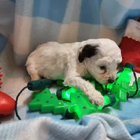 processed/13fccc7d-ad3c-4dc4-968a-e864955dff1b/listing/a4b28178-e974-4665-a46d-387424c837ee/4efd1386-d096-492e-b2b4-6ff6d40e8137