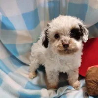 processed/13fccc7d-ad3c-4dc4-968a-e864955dff1b/listing/a4b28178-e974-4665-a46d-387424c837ee/79666d84-aeb6-49f5-a963-5051217dfac7