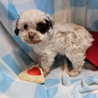 processed/13fccc7d-ad3c-4dc4-968a-e864955dff1b/listing/a4b28178-e974-4665-a46d-387424c837ee/8d1ac199-a8a7-4ca6-a4ac-d33e47f2426f