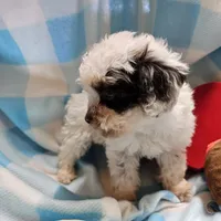 processed/13fccc7d-ad3c-4dc4-968a-e864955dff1b/listing/a4b28178-e974-4665-a46d-387424c837ee/fb7b1b7d-1d39-405e-8027-8b02af2a6949