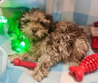 processed/13fccc7d-ad3c-4dc4-968a-e864955dff1b/listing/d25326de-8e9c-40b4-b08f-9579b9d8f44b/6030c90e-dee0-43eb-8440-3c5caaba337b