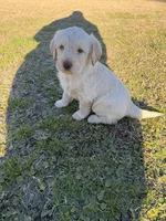 processed/142e8675-0bb2-4f59-ac1f-3112d19933ff/listing/41005b7b-3040-4245-af93-5ea5d3b53225/0a81f25e-68c0-4f57-9e81-d507d92248f0