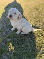 processed/142e8675-0bb2-4f59-ac1f-3112d19933ff/listing/41005b7b-3040-4245-af93-5ea5d3b53225/6b34c072-4e4a-4fef-bbc0-d0b528d0dc6f