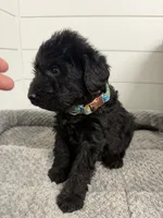 processed/142e8675-0bb2-4f59-ac1f-3112d19933ff/listing/59358c25-3671-47e9-b87c-1c39bb0476f7/21ee941e-9696-47d3-ad84-a37bdedacf9d