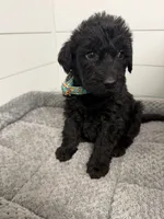 processed/142e8675-0bb2-4f59-ac1f-3112d19933ff/listing/59358c25-3671-47e9-b87c-1c39bb0476f7/2fb72dc2-3319-4831-a367-79c197a1e156