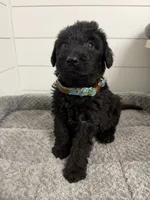 processed/142e8675-0bb2-4f59-ac1f-3112d19933ff/listing/59358c25-3671-47e9-b87c-1c39bb0476f7/b59e8d94-736c-4f06-af3c-633816c7bb6b