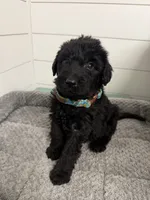 processed/142e8675-0bb2-4f59-ac1f-3112d19933ff/listing/59358c25-3671-47e9-b87c-1c39bb0476f7/d068ad7d-4140-41b1-96bc-41e422e3866f