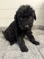 processed/142e8675-0bb2-4f59-ac1f-3112d19933ff/listing/6d3bbafe-11a7-4892-9851-5f36cfd6ef19/294651c1-70e1-4fca-9c5e-ebfb62447944