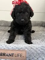 processed/142e8675-0bb2-4f59-ac1f-3112d19933ff/listing/6d3bbafe-11a7-4892-9851-5f36cfd6ef19/886ad01f-1d37-49d3-830f-762f9dd8dbb3