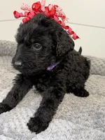 processed/142e8675-0bb2-4f59-ac1f-3112d19933ff/listing/6d3bbafe-11a7-4892-9851-5f36cfd6ef19/f178f11f-ca93-4236-af8d-2950e15b82d0