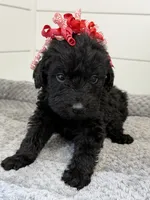 processed/142e8675-0bb2-4f59-ac1f-3112d19933ff/listing/6d3bbafe-11a7-4892-9851-5f36cfd6ef19/ffa78b7f-6fc1-4af8-8c9b-50e9388753ae