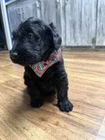 processed/142e8675-0bb2-4f59-ac1f-3112d19933ff/listing/90139301-d660-4978-9478-485f1b5f3dd3/32982124-d193-4fd0-8245-11398d765b42