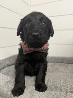 processed/142e8675-0bb2-4f59-ac1f-3112d19933ff/listing/90139301-d660-4978-9478-485f1b5f3dd3/47432574-a6b2-4786-833f-f56eaa08db16