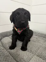 processed/142e8675-0bb2-4f59-ac1f-3112d19933ff/listing/90139301-d660-4978-9478-485f1b5f3dd3/d411e7d3-5d57-4a0f-9e59-277895e0cff0