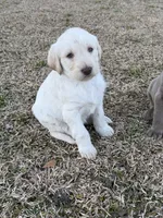 processed/142e8675-0bb2-4f59-ac1f-3112d19933ff/listing/bad57bf4-d737-4412-8547-56918cf9bbf3/57bd5d89-34f8-472d-b8ff-4b05ca2a42de